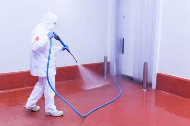 Best Playground Equipment Cleaning  in Coaldale, PA