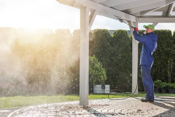 Best Sidewalk and Walkway Cleaning  in Coaldale, PA